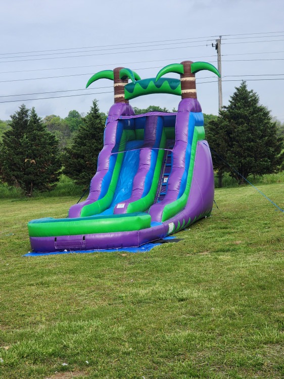 16ft Tropical Waterslide
